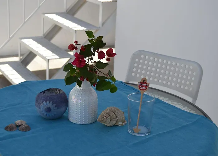 Buganvillas