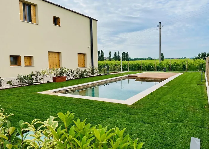Il Vigneto