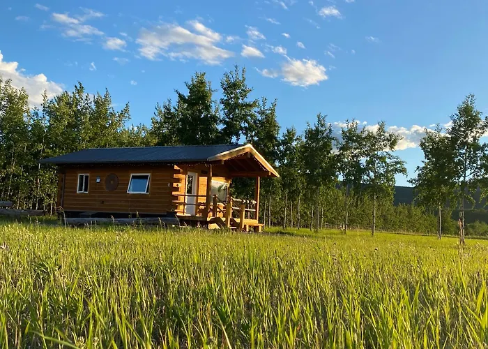 Oma'S And Opa'S Northern Lights Viewing Cabin