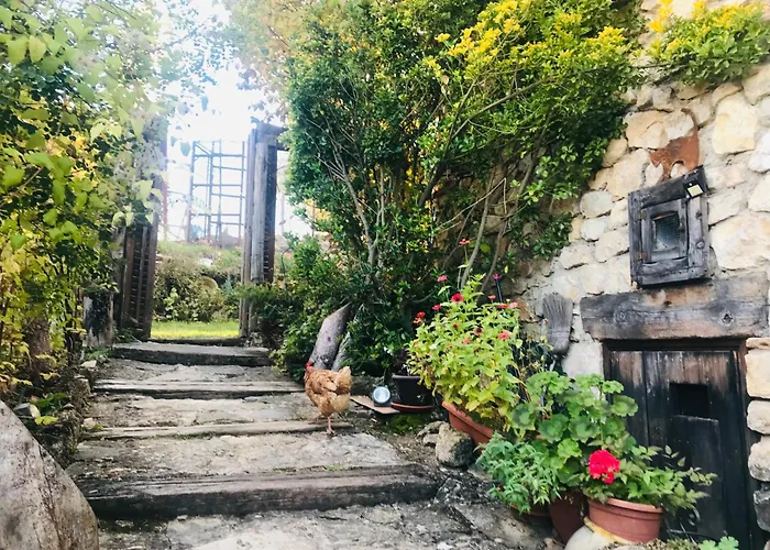 Casas Rurales Chon Alto Tajo