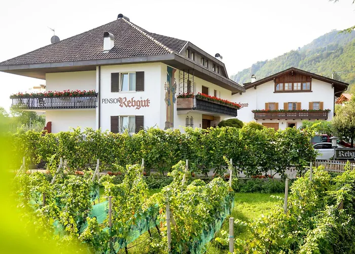 B&B: Pension Rebgut