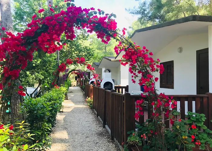 Camping Villaggio Internazionale