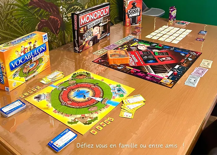 MAISON Jungle House 90 m2 BILLARD, RÉTROPROJECTEUR, BAR À JEUX , VINYLE, WIFI FIBRE, idéal PRO&FAMILLE à Montbrison