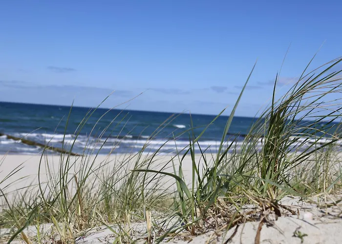 Haus Admiral mit Garten, 5 Gehminuten zum Strand, inklusive WLAN, Sauna, Kamin, Tischtennisplatte, Bollerwagen für den Strand