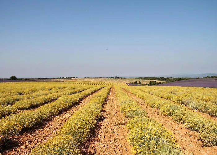 La Provençale