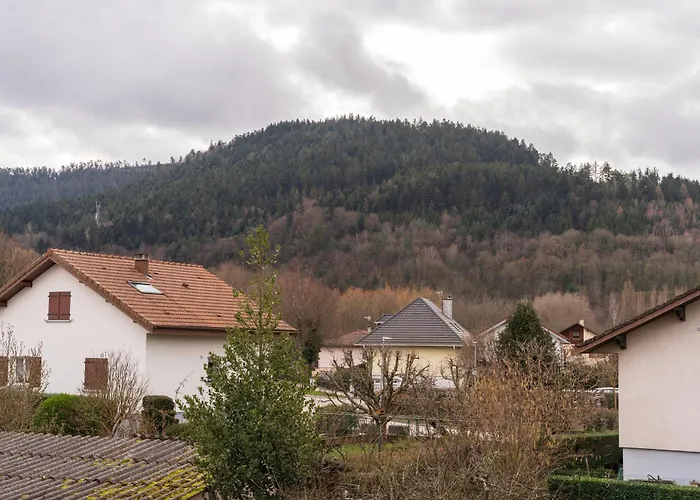 Charmant appartement Vosgien centre Saint Dié, proche montagnes