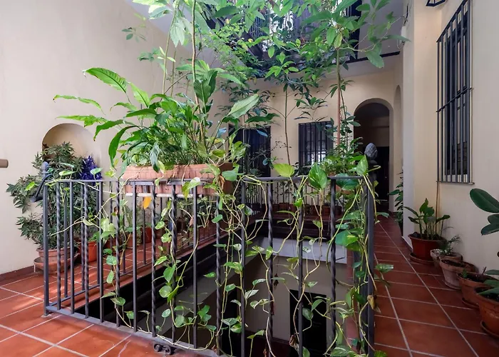 Plaza San Marcos Apartment