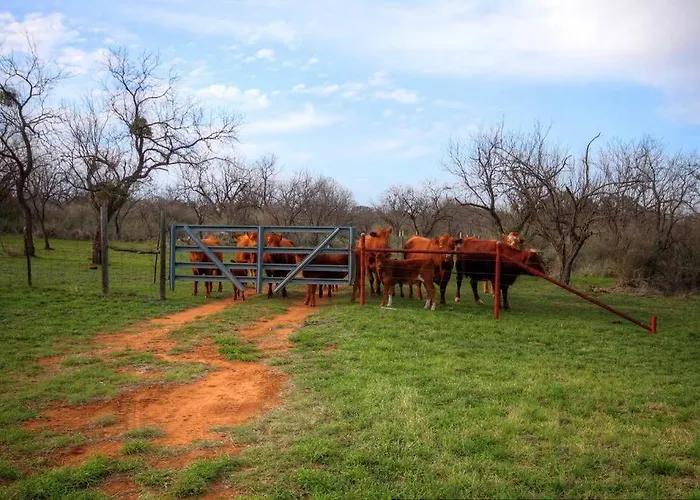 Llano River Ranch - Llano Riverfront Cabin On 100 Acres!