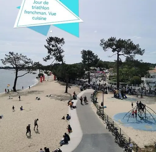 Les pins dans l'eau