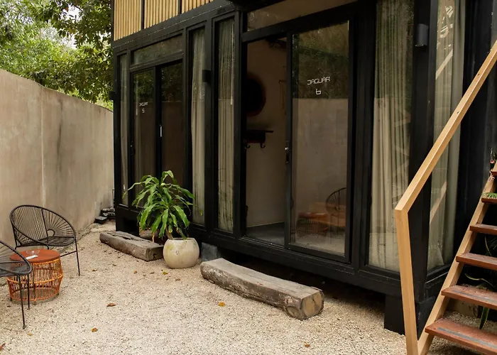 Hotel: Bufo Alvarius