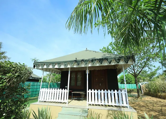 Ping Pong hotel: Amrit Van Resort