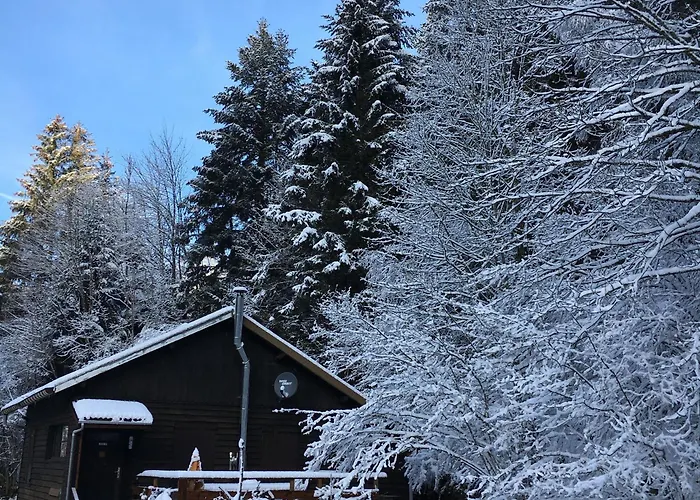 Chalet cosy proche de Gérardmer et Colmar - Nature, WIFI, 2 chambres, terrasse, garage - FR-1-589-306