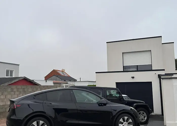 la sardine dorée