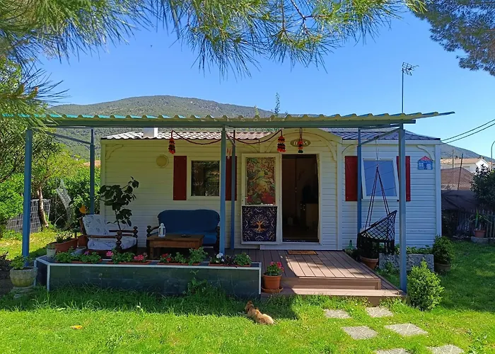 Hotel que admite mascotas: Villa Ardilla