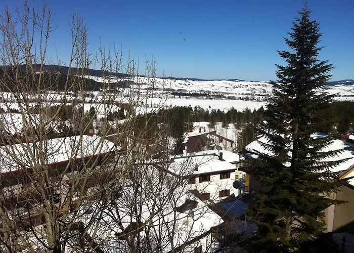  Meranda