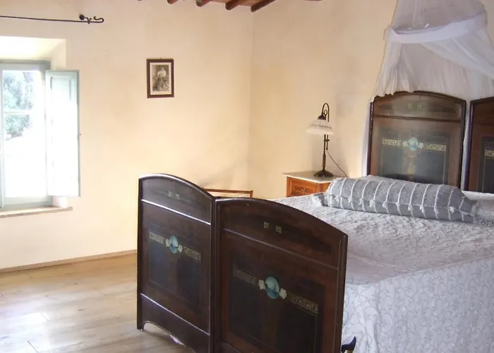 Cicolina