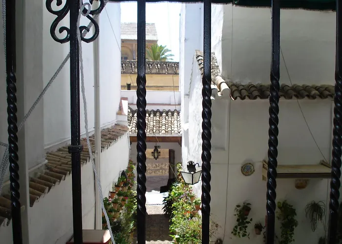 Hotel que admite mascotas: Los Patios