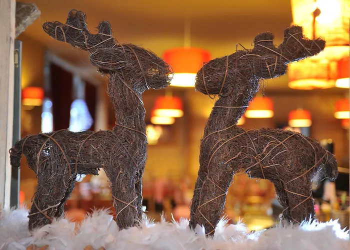 Hôtel de ski: Hôtel de Russie