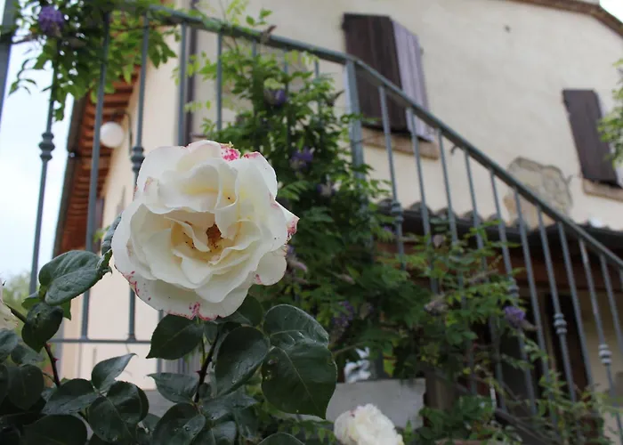 Villa con piscina: Country House La Valle Del Vento