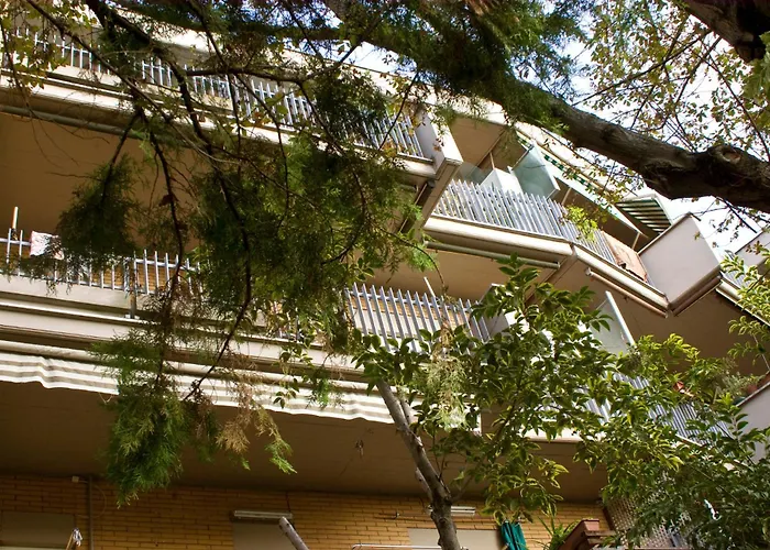 B&B Agliarvali