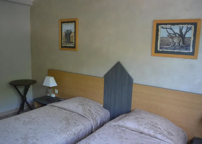 Hôtel accueillant les animaux: Hotel Regina