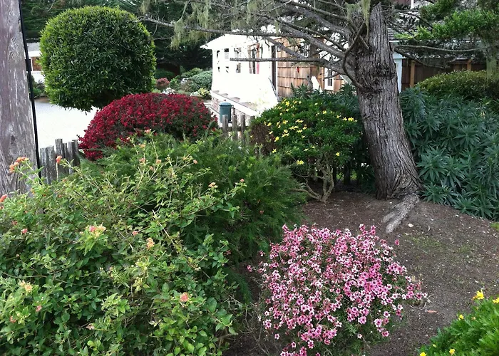 Airport Hotel: Lighthouse Lodge & Cottages