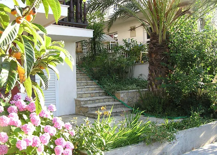 La Casa Di Elisa