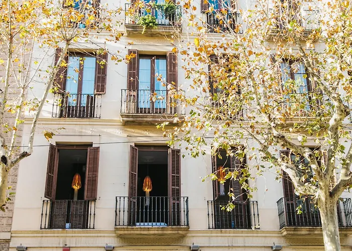 Guest house: Zoorooms Boutique Guesthouse