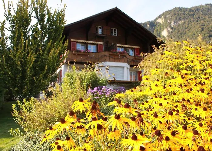 Adventure Guesthouse Interlaken