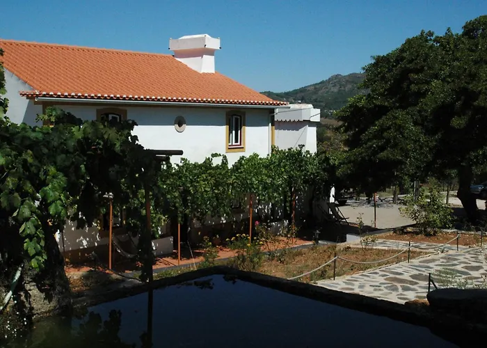 Quinta Do Vaqueirinho - Agro-Turismo