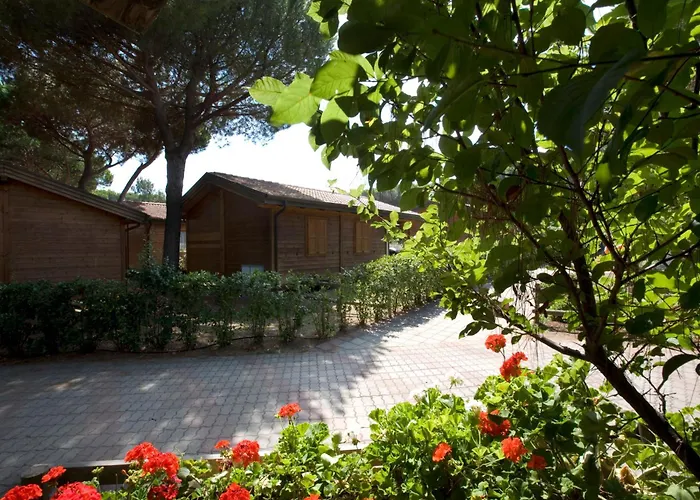 Hotel vicino al College: Camping Village Oasi