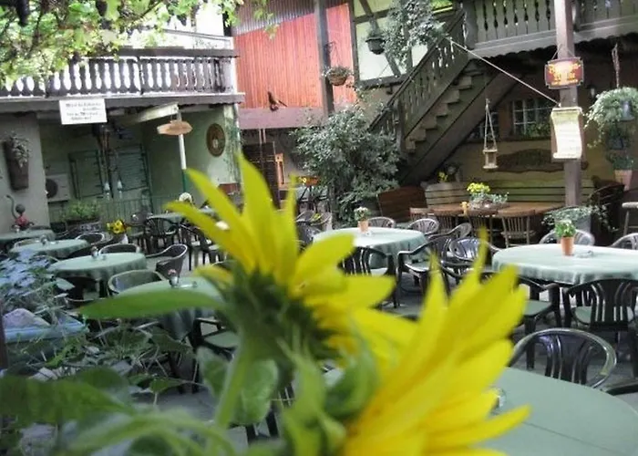 Gästehaus: Weingut Franz Schäfer