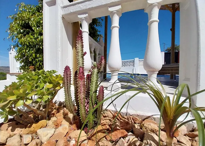 Sueño De Vida