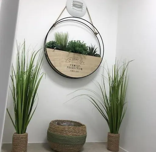 Studio Oasis Provençale
