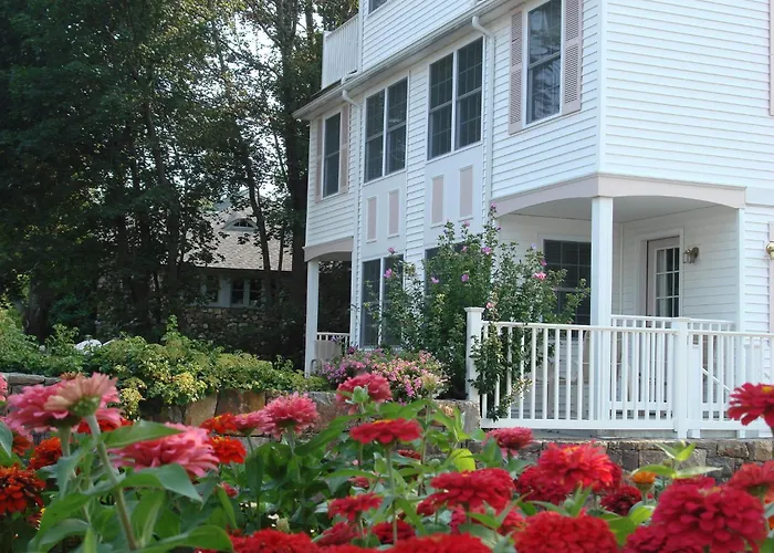 Pink Blossoms Resort