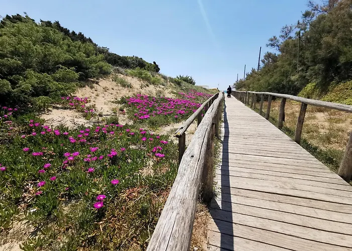 Samanà B&B Con Spiaggia Privata