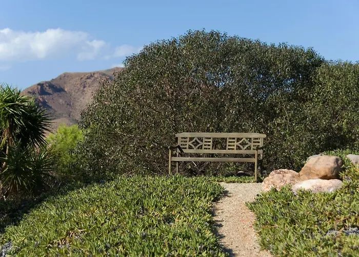 El Jardín De Los Sueños