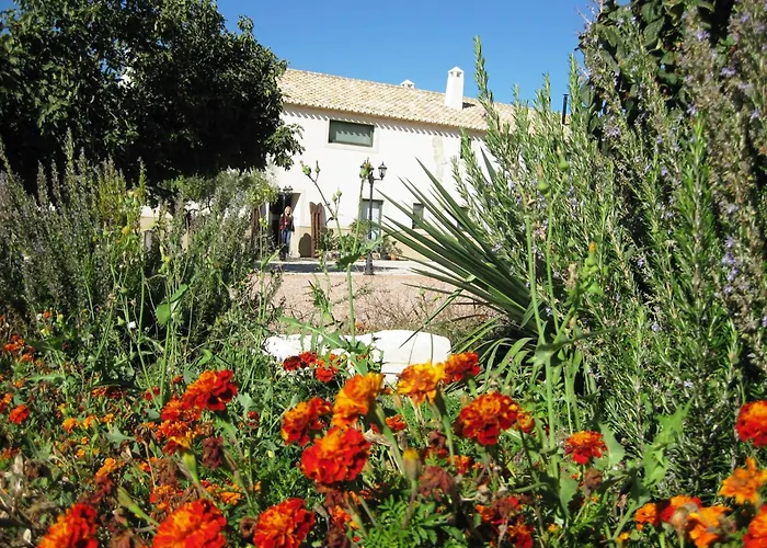 Casa de huéspedes: Jardines de Casablanca
