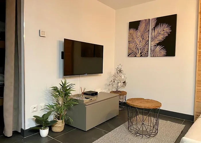 Studio neuf et chaleureux