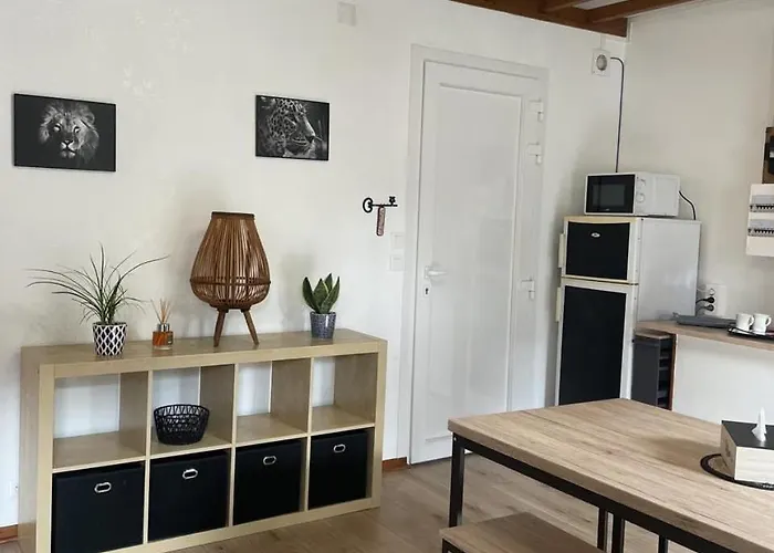 Superbe appartement face au Château - 2 chambres - Netflix/Canal+