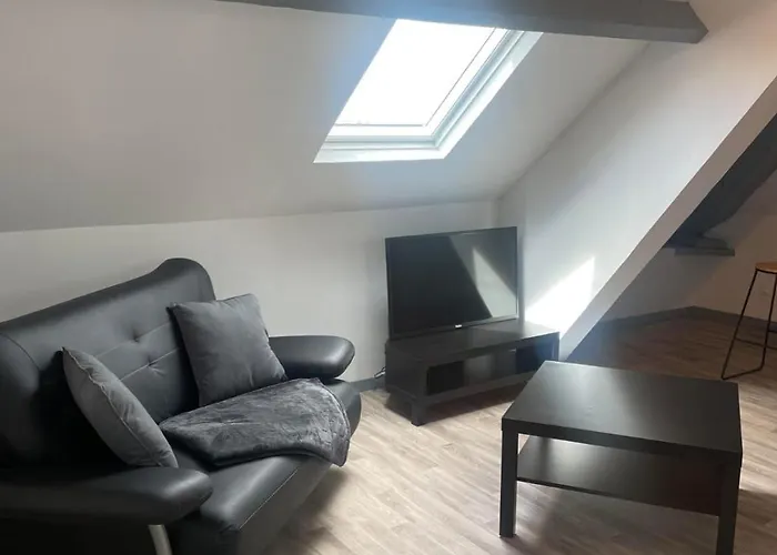 Superbe loft neuf - 1 chambre- face au Château