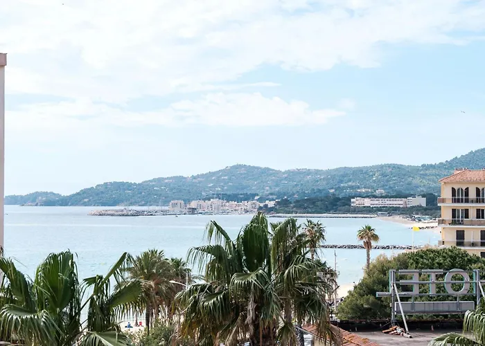 Hôtel accueillant les animaux: Anglade Hotel