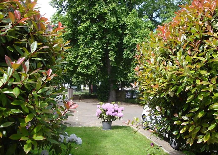3-Sterne-Hotel: Hotel Bellevue