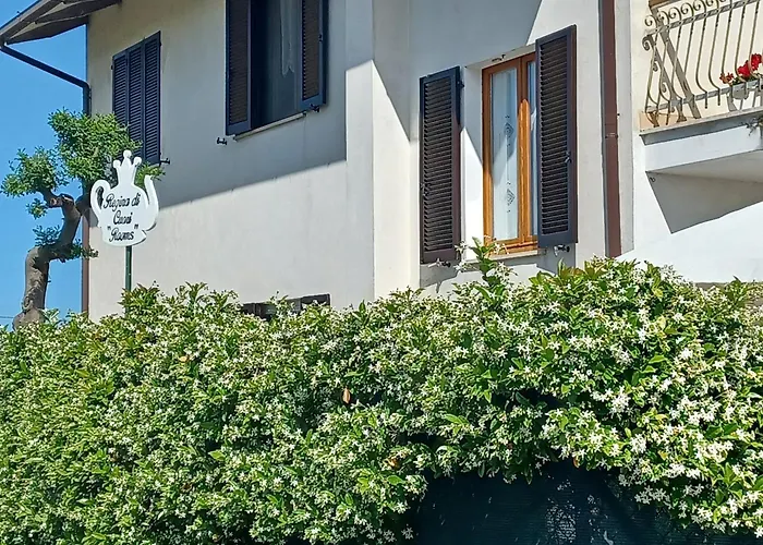 Regina Di Cuori