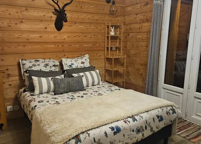 Studio à 100 mètres du départ des pistes de ski