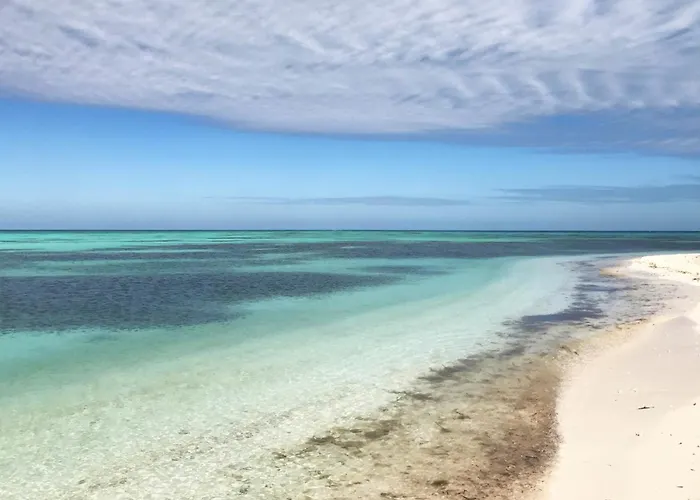 Pescado Penthouse On Duval