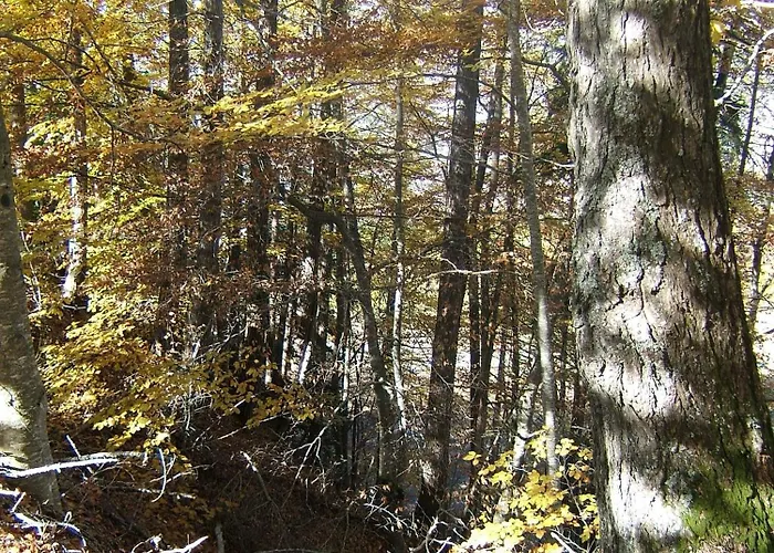 T3 coquet et lumineux aux pieds des pistes