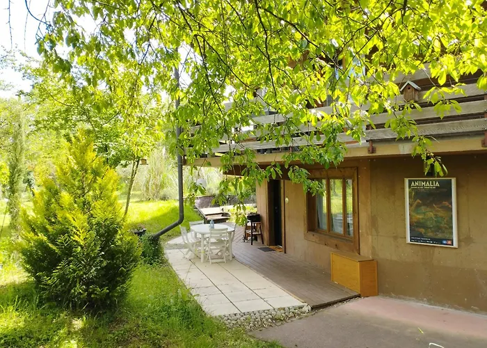 Alvéole du Léman - Appartement Le Nid du Chat Noir