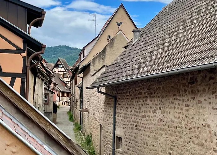 L'Adresse Studio Rempart sud - centre historique Eguisheim