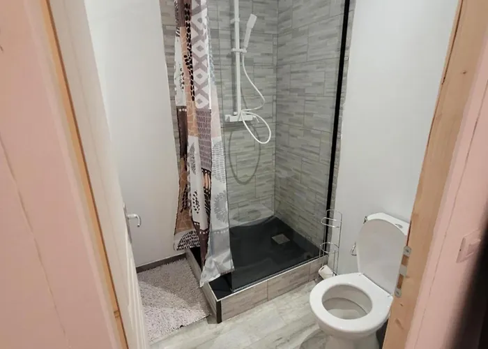 appartement rénové climatisé 1ch 50m2 à la semaine